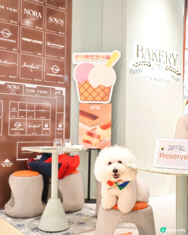 灣仔合和新商場 寵物友善食店 但性價比低🙃