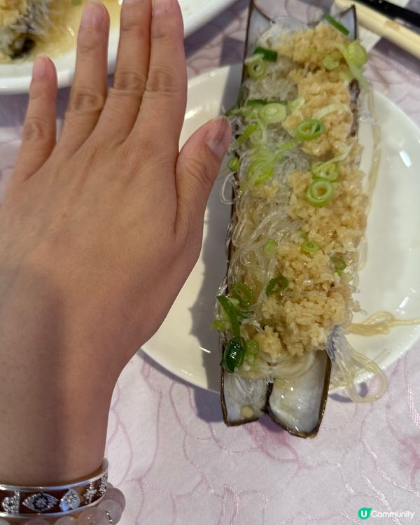 港晶軒海鮮盛宴！🦞😋 尖咀打卡必去！