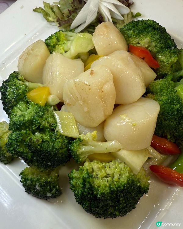 港晶軒海鮮盛宴！🦞😋 尖咀打卡必去！