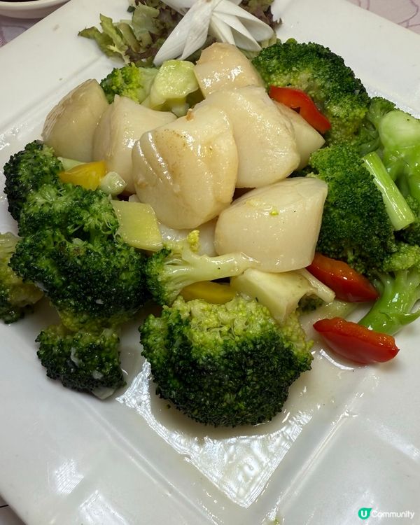 港晶軒海鮮盛宴！🦞😋 尖咀打卡必去！