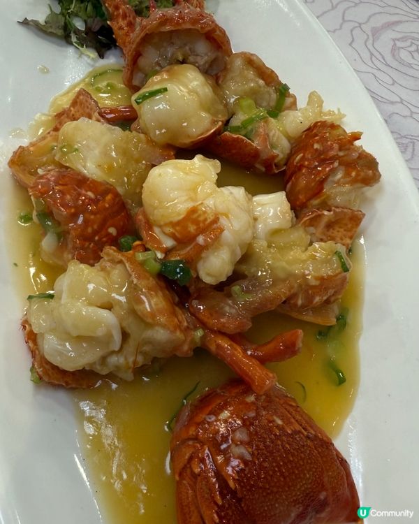 港晶軒海鮮盛宴！🦞😋 尖咀打卡必去！