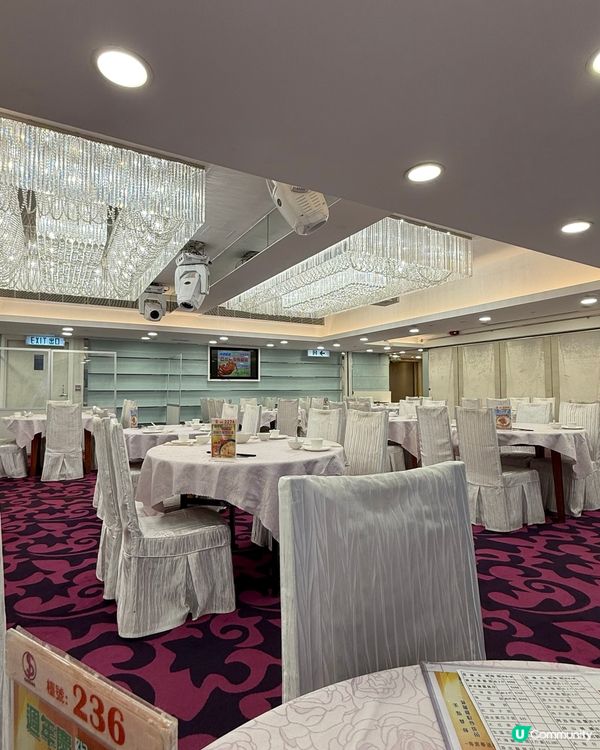 港晶軒海鮮盛宴！🦞😋 尖咀打卡必去！