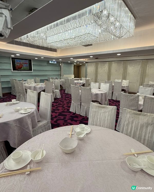 港晶軒海鮮盛宴！🦞😋 尖咀打卡必去！