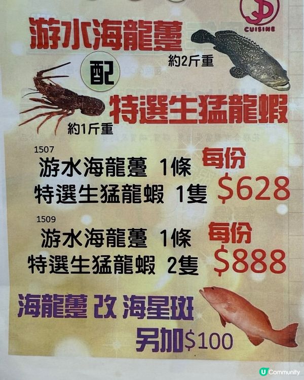 港晶軒海鮮盛宴！🦞😋 尖咀打卡必去！