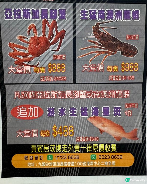 港晶軒海鮮盛宴！🦞😋 尖咀打卡必去！