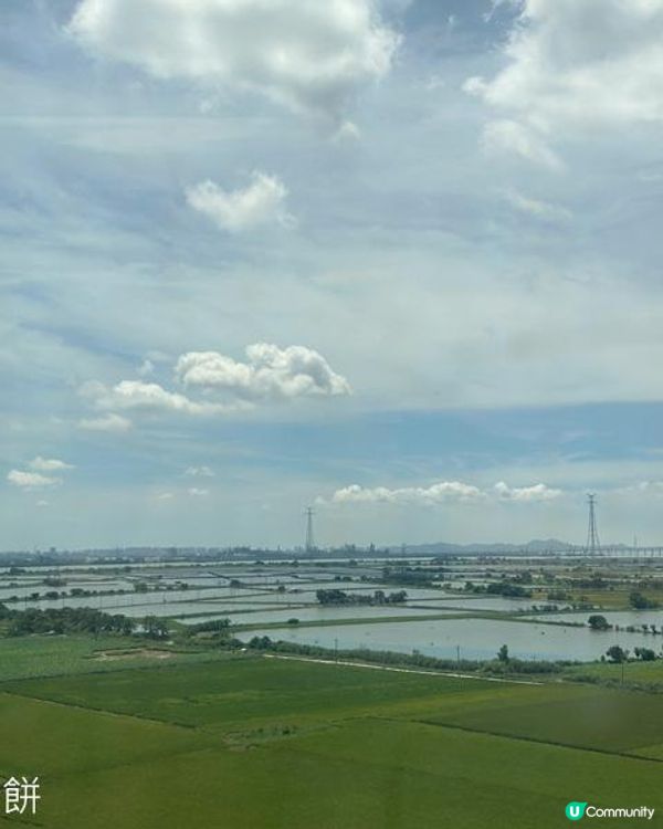 夏遊廈門 | 食在廈門萬象城 | 宴遇 | 九十葉 | 紅茶公司