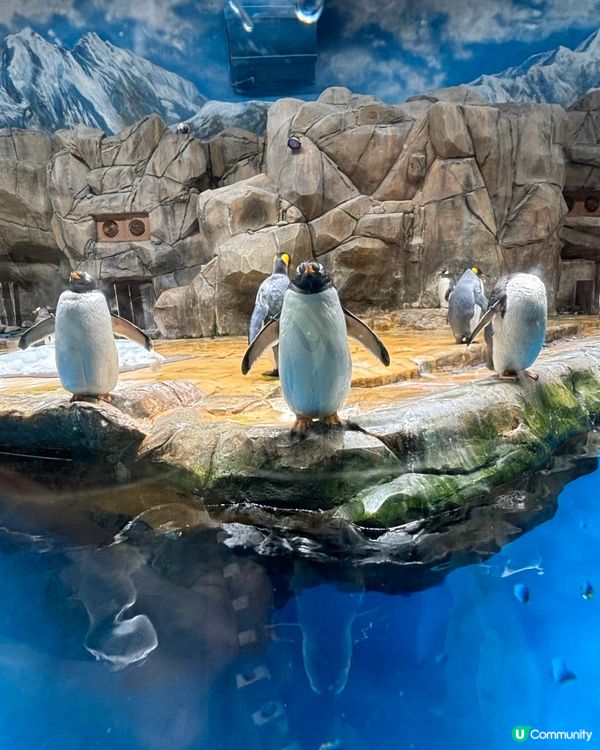 海洋公園親子遊！玩到癲🥳！