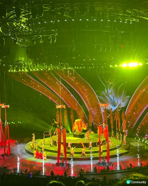 珠海高質得獎馬戲團🌟人均二百五就得到？