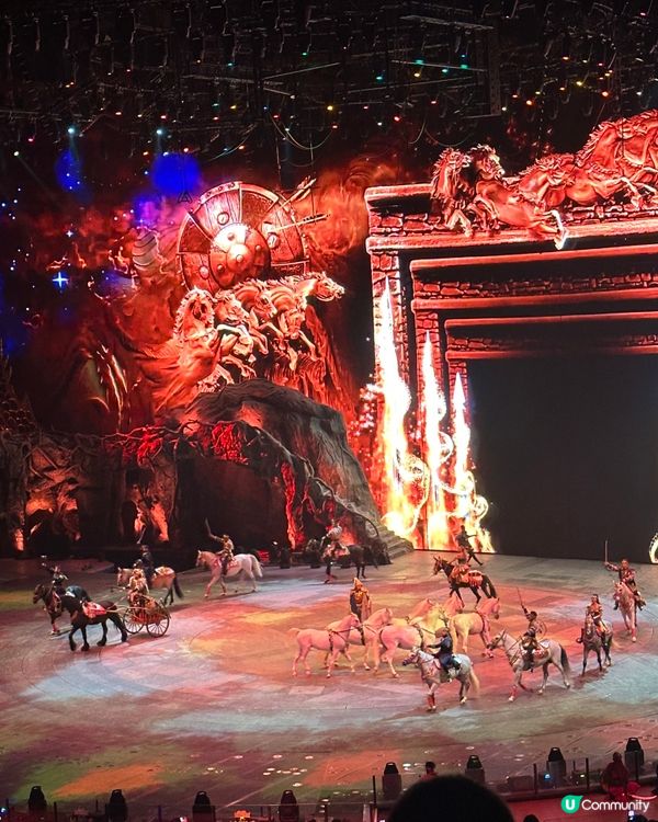 珠海高質得獎馬戲團🌟人均二百五就得到？