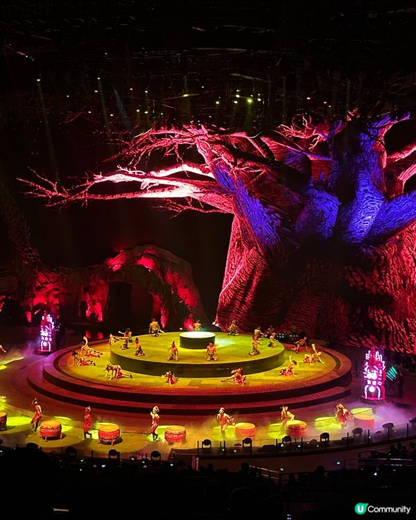 珠海高質得獎馬戲團🌟人均二百五就得到？