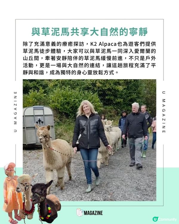 草泥馬們到安養院巡房？在愛爾蘭山上與安養院傳遞幸福