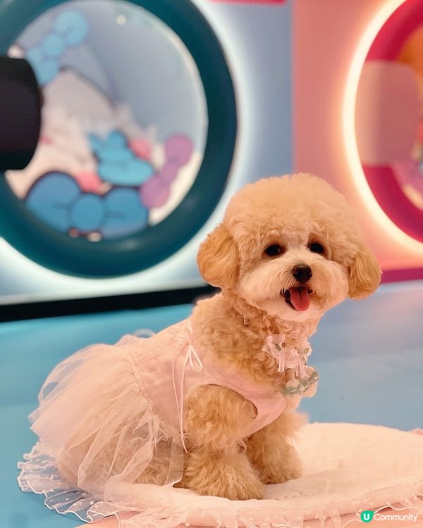 𝙏𝙃𝙀 𝙊𝙉𝙀 𝙭 𝙊𝙋𝘼𝙉𝘾𝙃𝙐 𝙐𝙎𝘼𝙂𝙄夏日泡泡