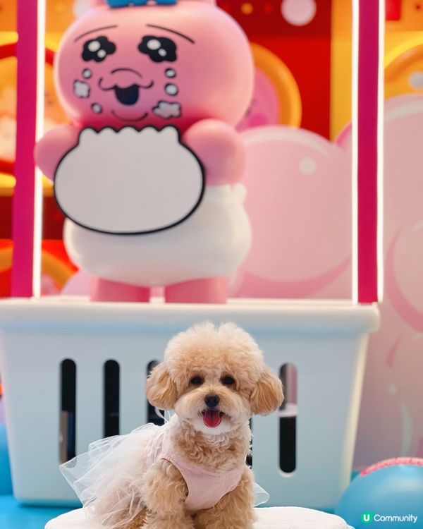 𝙏𝙃𝙀 𝙊𝙉𝙀 𝙭 𝙊𝙋𝘼𝙉𝘾𝙃𝙐 𝙐𝙎𝘼𝙂𝙄夏日泡泡