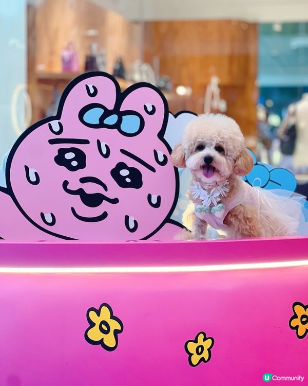 𝙏𝙃𝙀 𝙊𝙉𝙀 𝙭 𝙊𝙋𝘼𝙉𝘾𝙃𝙐 𝙐𝙎𝘼𝙂𝙄夏日泡泡