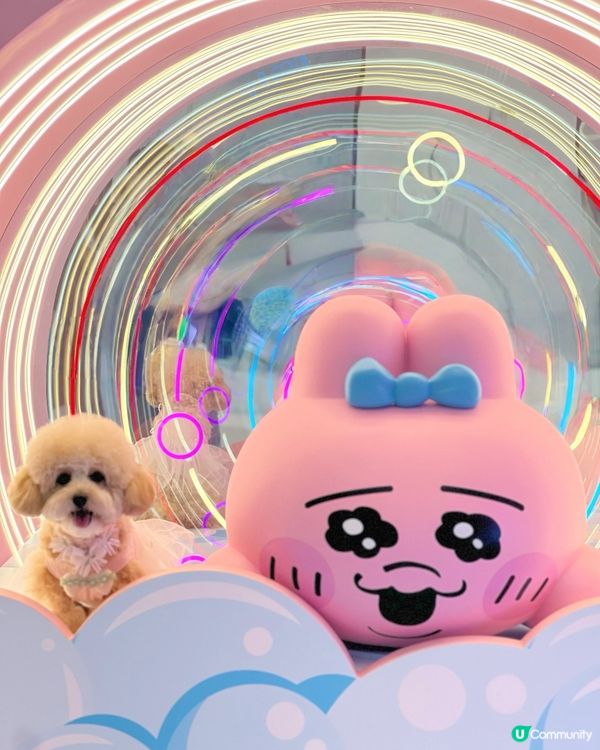 𝙏𝙃𝙀 𝙊𝙉𝙀 𝙭 𝙊𝙋𝘼𝙉𝘾𝙃𝙐 𝙐𝙎𝘼𝙂𝙄夏日泡泡