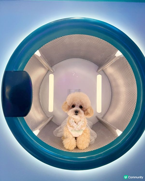 𝙏𝙃𝙀 𝙊𝙉𝙀 𝙭 𝙊𝙋𝘼𝙉𝘾𝙃𝙐 𝙐𝙎𝘼𝙂𝙄夏日泡泡