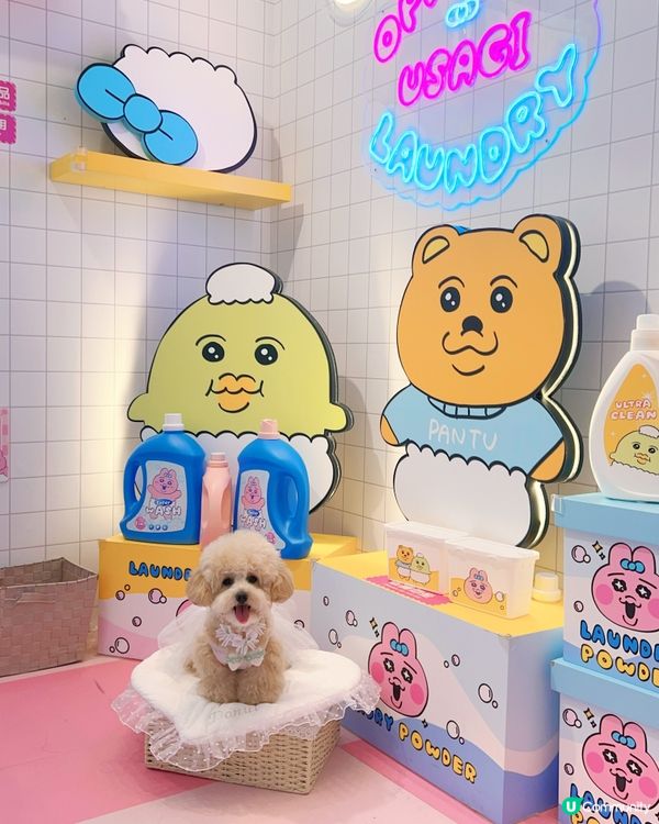 𝙏𝙃𝙀 𝙊𝙉𝙀 𝙭 𝙊𝙋𝘼𝙉𝘾𝙃𝙐 𝙐𝙎𝘼𝙂𝙄夏日泡泡