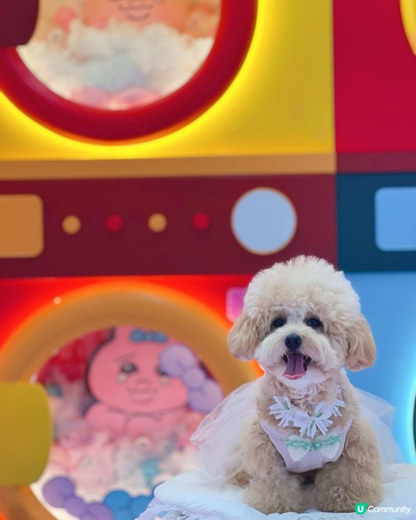 𝙏𝙃𝙀 𝙊𝙉𝙀 𝙭 𝙊𝙋𝘼𝙉𝘾𝙃𝙐 𝙐𝙎𝘼𝙂𝙄夏日泡泡