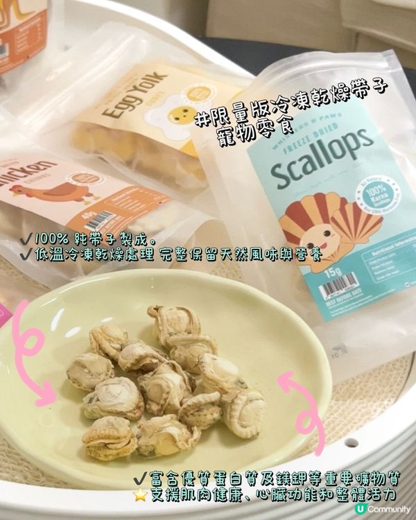 喵🐱今日食左帶子凍乾啦！聽日換邊一款凍乾食好呢？？😋