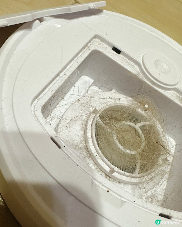 只係20蚊❗️拼多多掃地機械人真係吸得起貓毛⁉️實測分享～