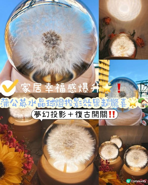 靚爆家居小物分享！✨ 蒲公英水晶球燈😍