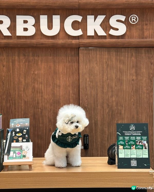 太古城Starbucks展～有狗狗Barista? 