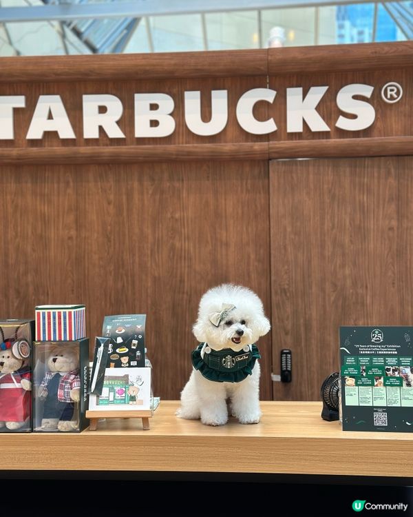 太古城Starbucks展～有狗狗Barista? 