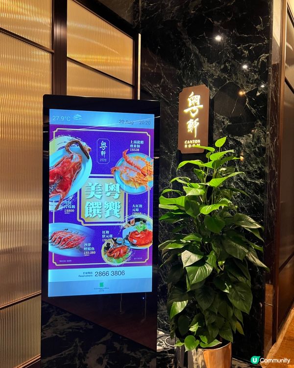 ʚ♡ 細味傳統粵菜 • 六國酒店粵軒 ♡ɞ