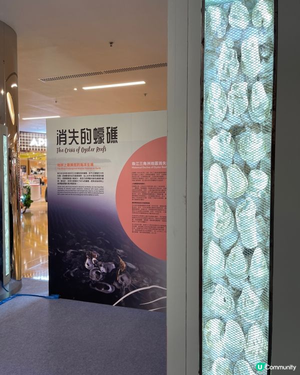 滄海遺礁——重現香港海洋文化與生態保育展