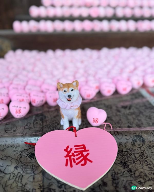 / 帶Nana 2.0去名古屋神社 \