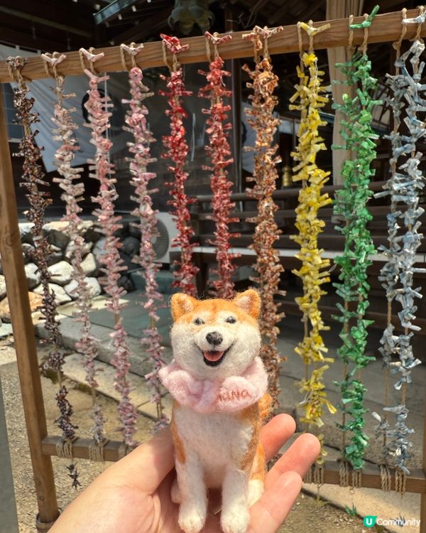 / 帶Nana 2.0去名古屋神社 \