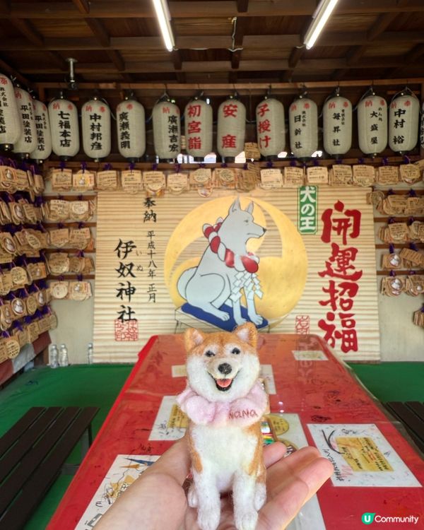 / 帶Nana 2.0去名古屋神社 \