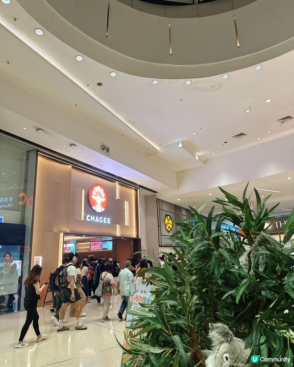 霸王茶姬開四間！免單券+抽獎 🤩 快啲去‼️