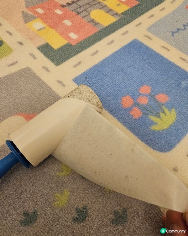 用係地毯上又平又好用既除塵轆😚