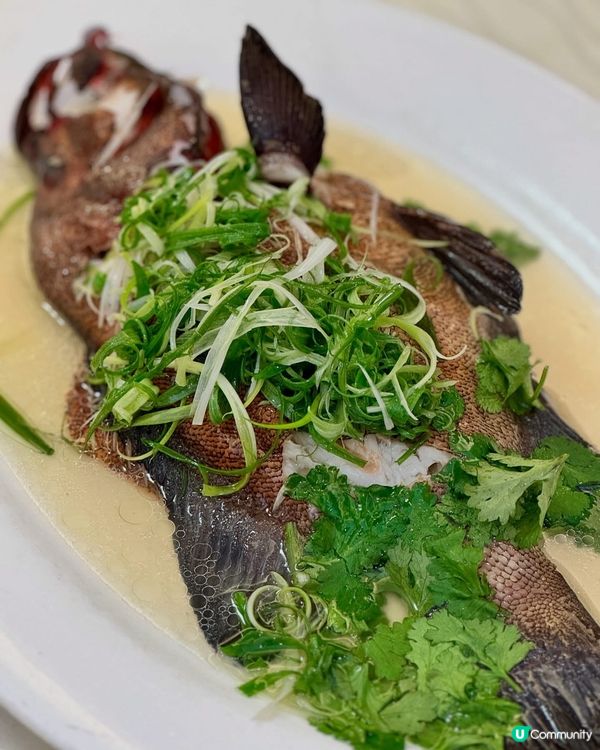 六福菜館米芝蓮🌟！必試招牌菜🤤！ #西貢美食