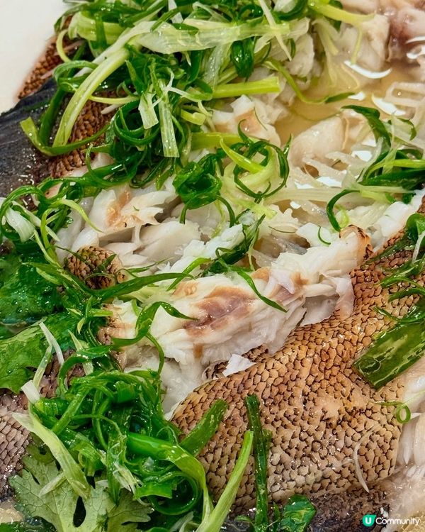 六福菜館米芝蓮🌟！必試招牌菜🤤！ #西貢美食