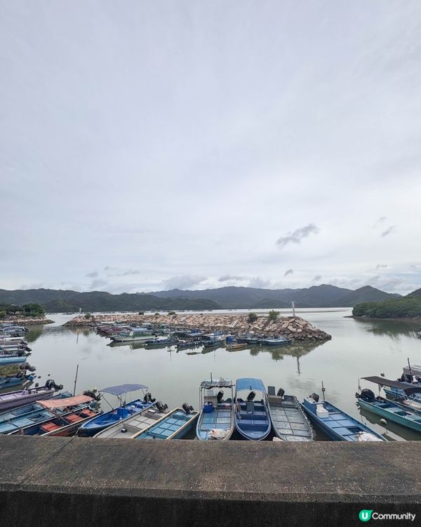 【本地遊】沙頭角一日遊 🌿