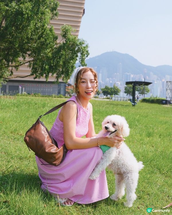 大晴天的日常☀️