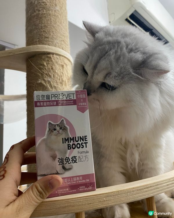 主子健康靠呢啲！💪🏻 位您寵靈芝免疫配方介紹！🐱