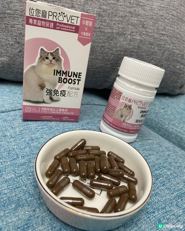主子健康靠呢啲！💪🏻 位您寵靈芝免疫配方介紹！🐱