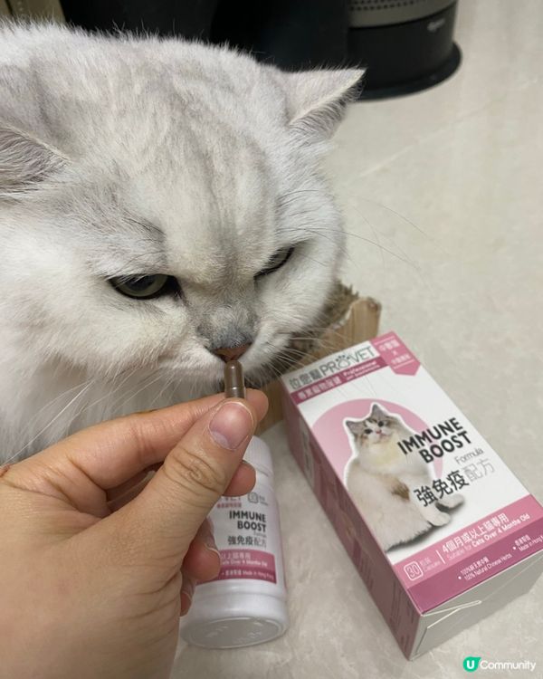 主子健康靠呢啲！💪🏻 位您寵靈芝免疫配方介紹！🐱