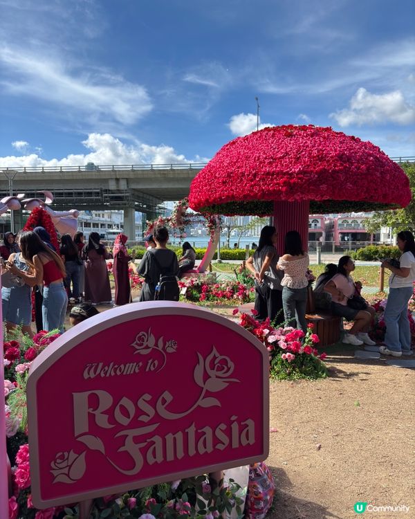 北角匯靚靚打卡位🤩😍