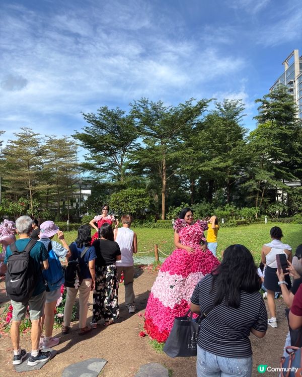 北角匯靚靚打卡位🤩😍