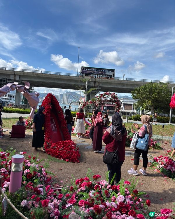 北角匯靚靚打卡位🤩😍