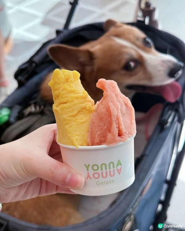 沖繩雪糕🍦登陸香港😋手工製作，必試👍🏻