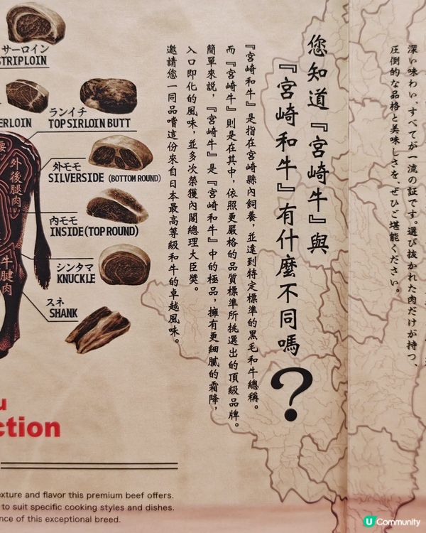 高CP🤩宮崎牛🇯🇵關西風🏯壽喜燒