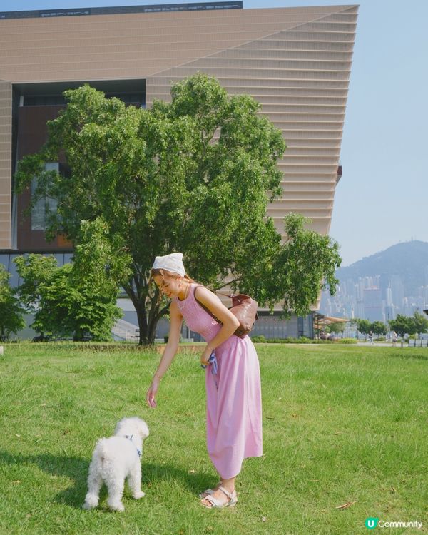 大晴天的日常☀️