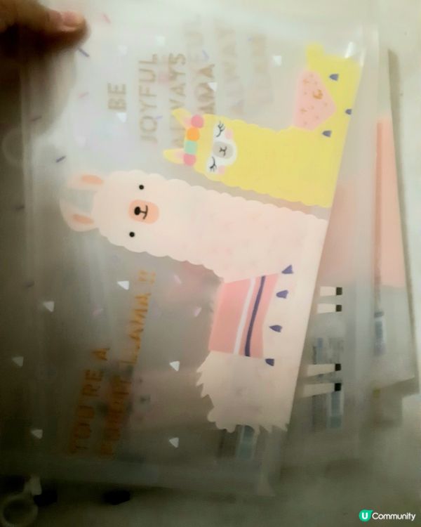 1.  暑假尾聲掃貨！筍崗文具玩具城🛍️📚 抵！