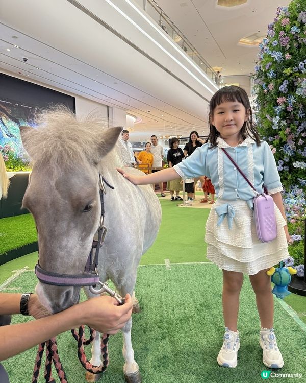 ✨週末小確幸✨