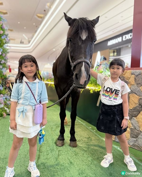 ✨週末小確幸✨